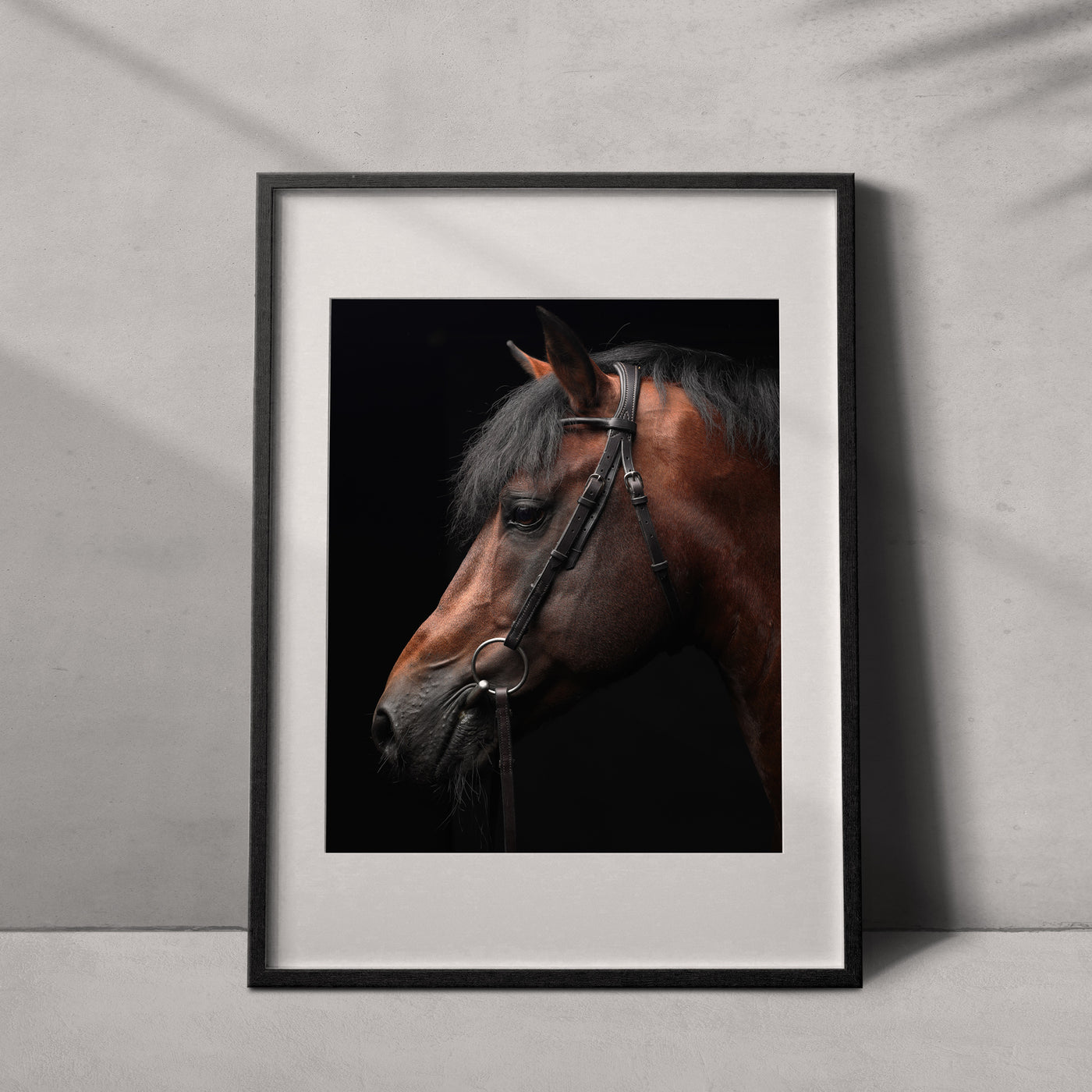 Retrato de un caballo #01