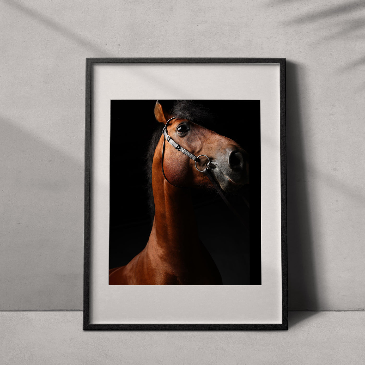 Retrato de un caballo #02