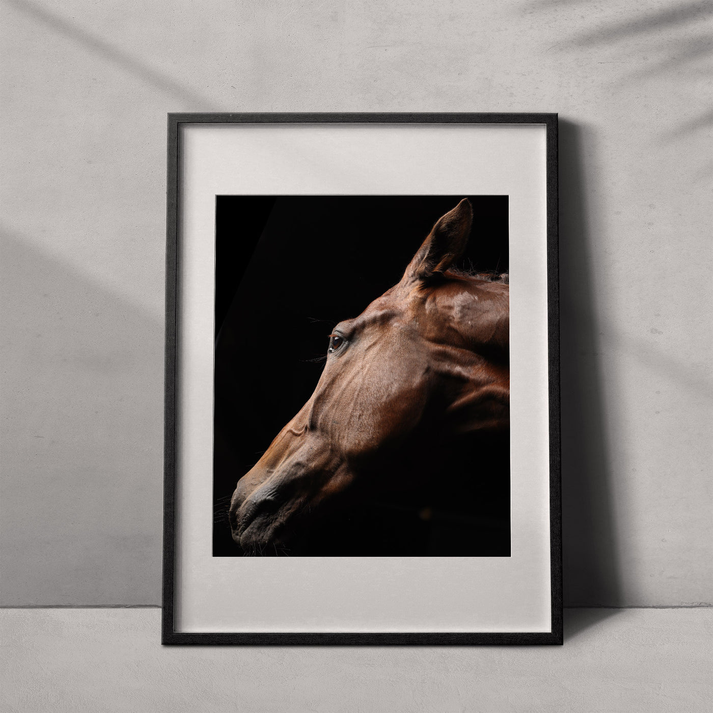 Portrait of a horse #11