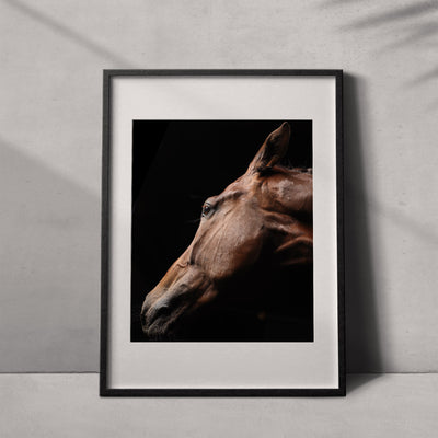 Retrato de un caballo #11