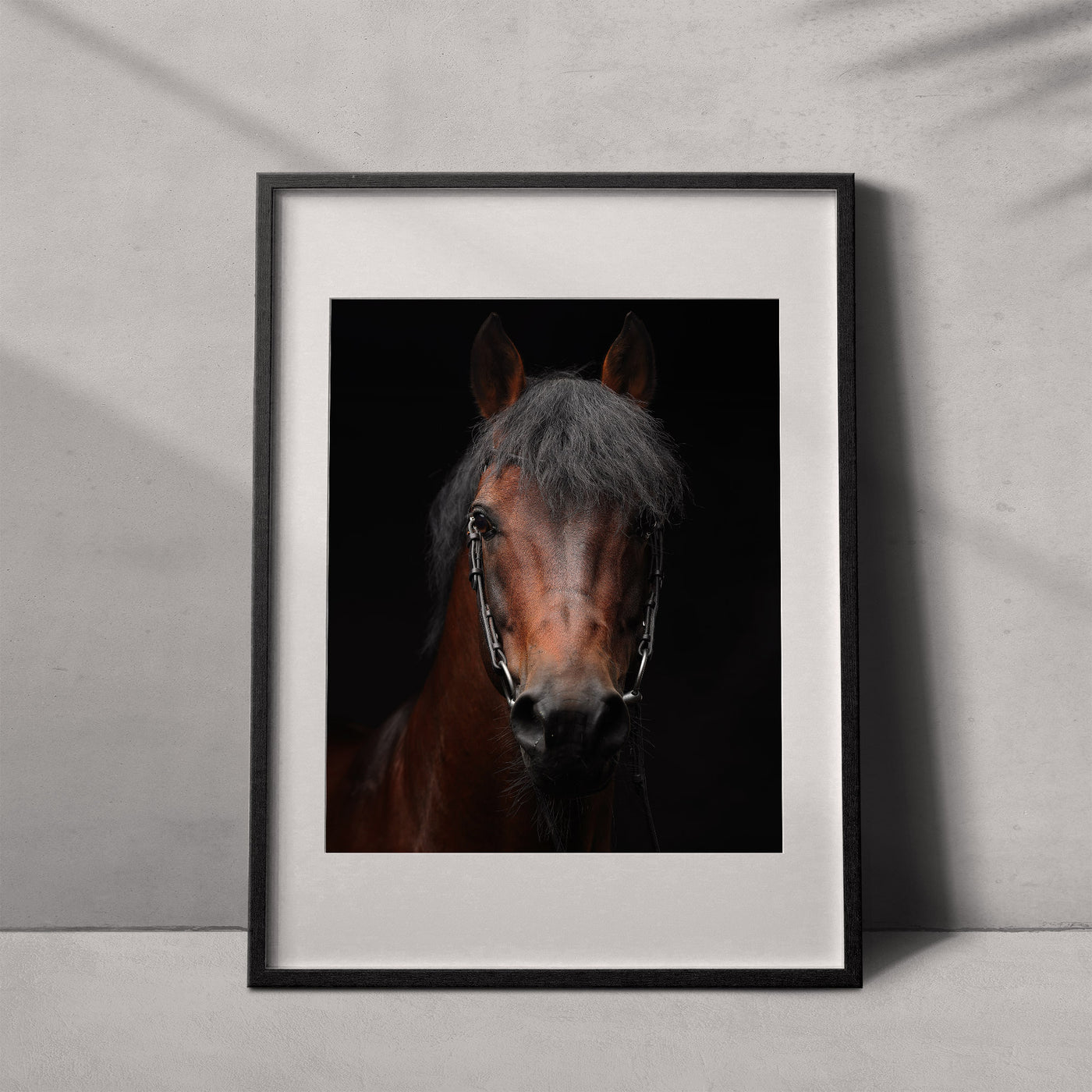 Portrait of a horse #07