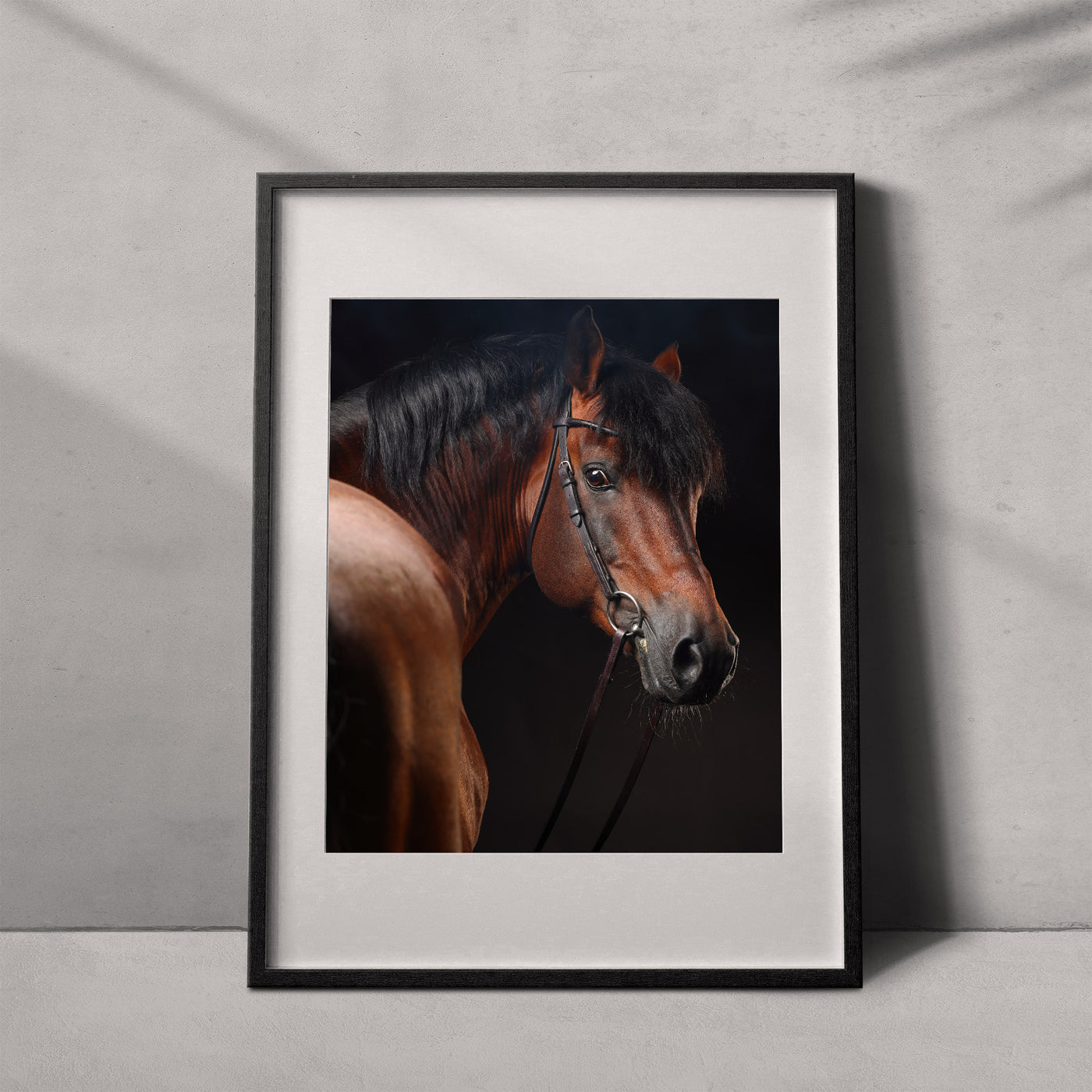 Retrato de un caballo #06