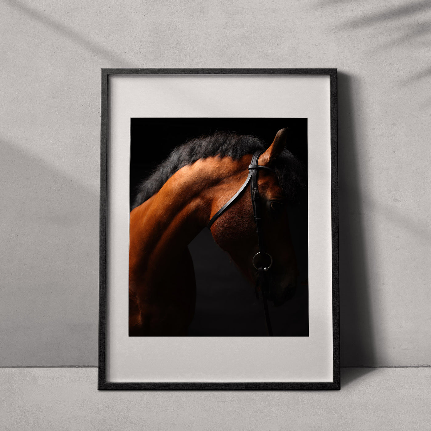 Portrait of a horse #08