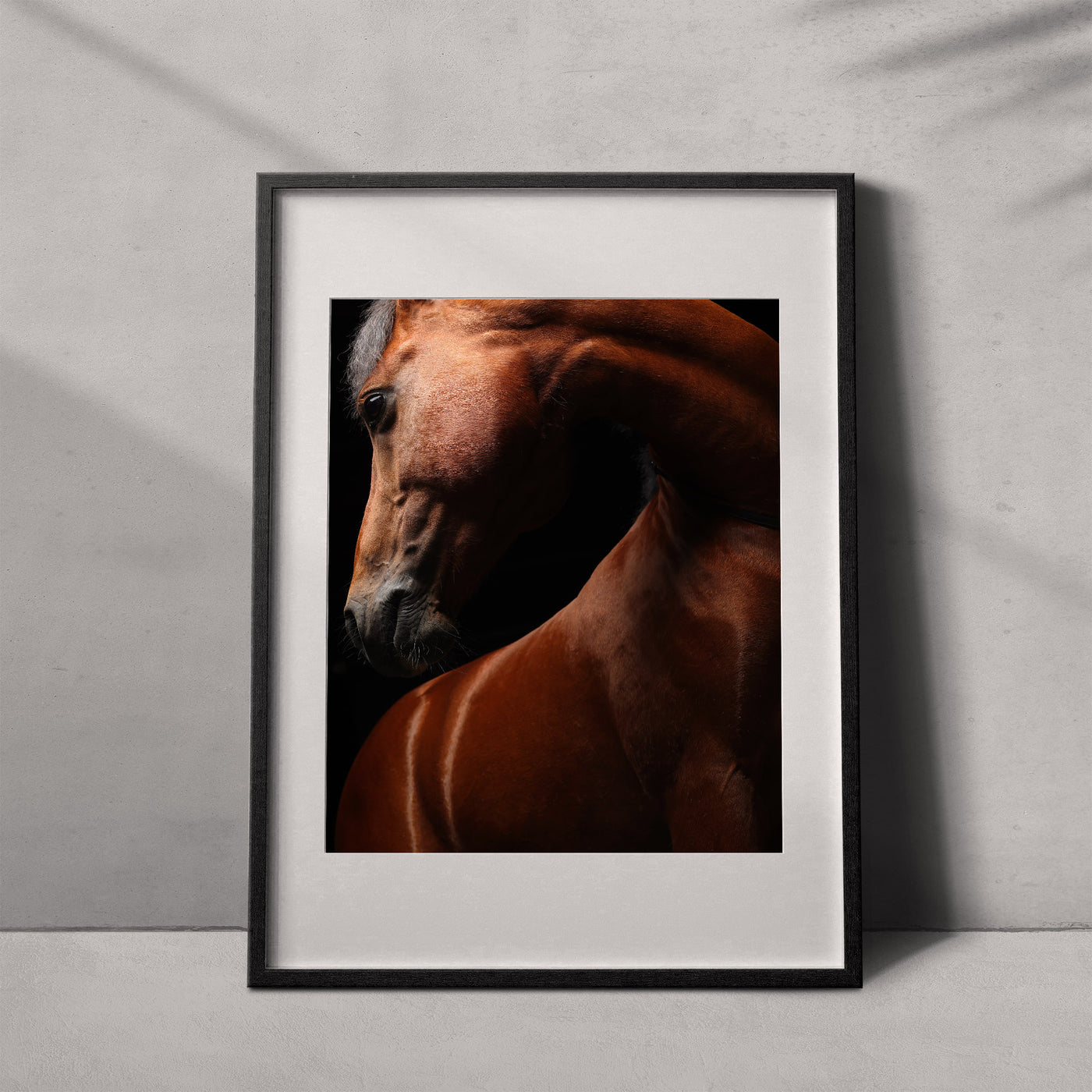 Retrato de un caballo #10