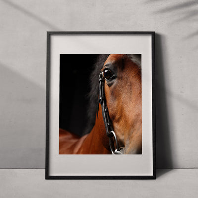 Retrato de un caballo #09