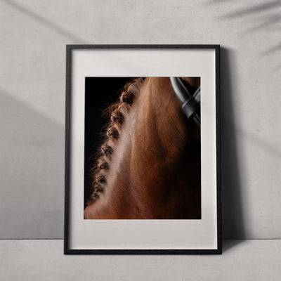 Retrato de un caballo #12