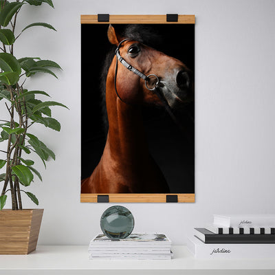 Portrait of a horse #02